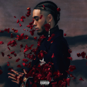 中国老熟女视频
