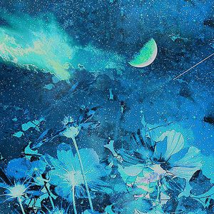 中国老熟女视频
